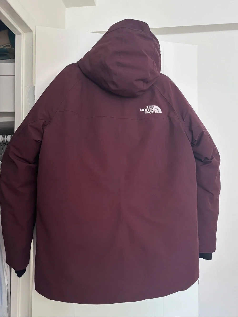 The North Face 550-down Parka